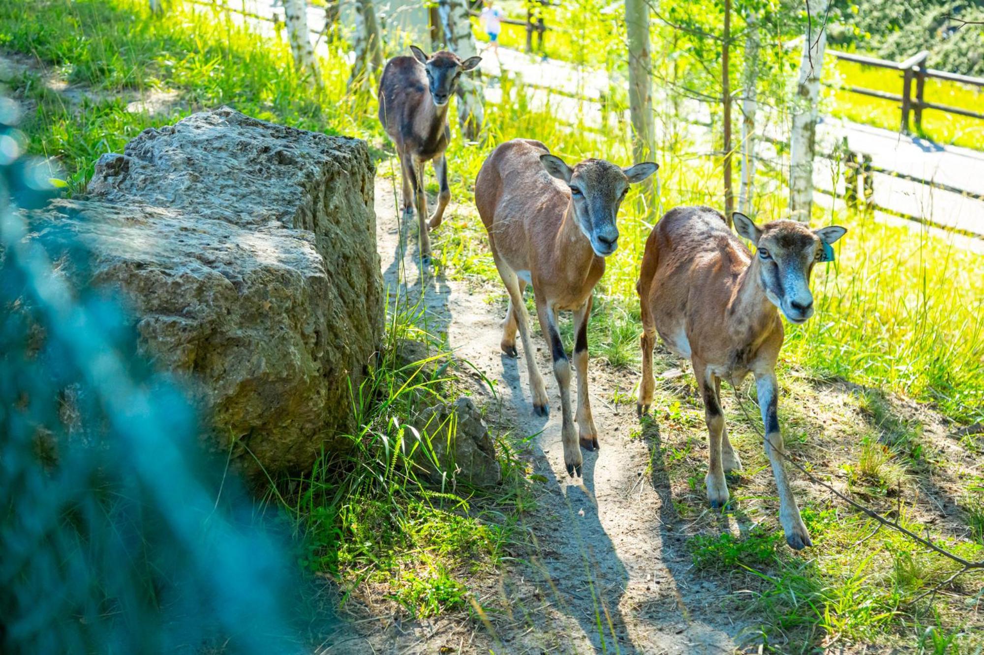 Noclegi Jurapark Krasiejow Kültér fotó